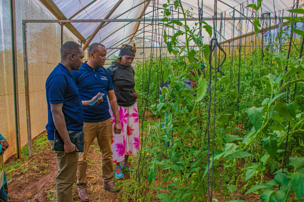 Farmers attending the Safe Use of Chemical Pesticides training in Ngarenairobi Ward, Siha District, Kilimanjaro