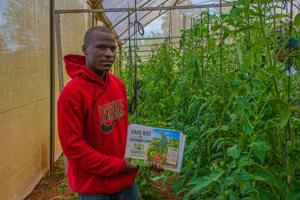 A farmer holding the “Safe Use for Healthier Lives” placard beside tomato vines in a greenhouse